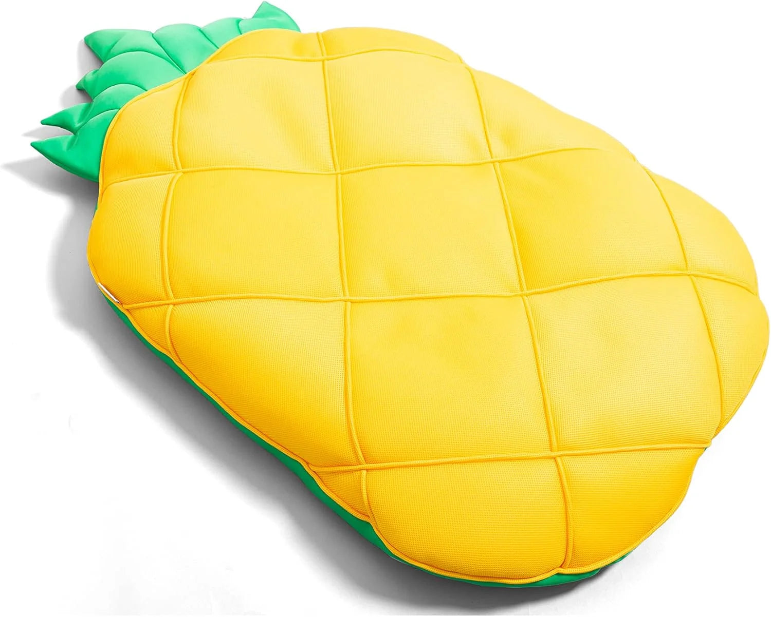 Big Joe Fruit Pool Floats, No Inflation Needed, Quick Draining Fabric, Round Loungers and Pool Noodles bifanuoyard - Image 5