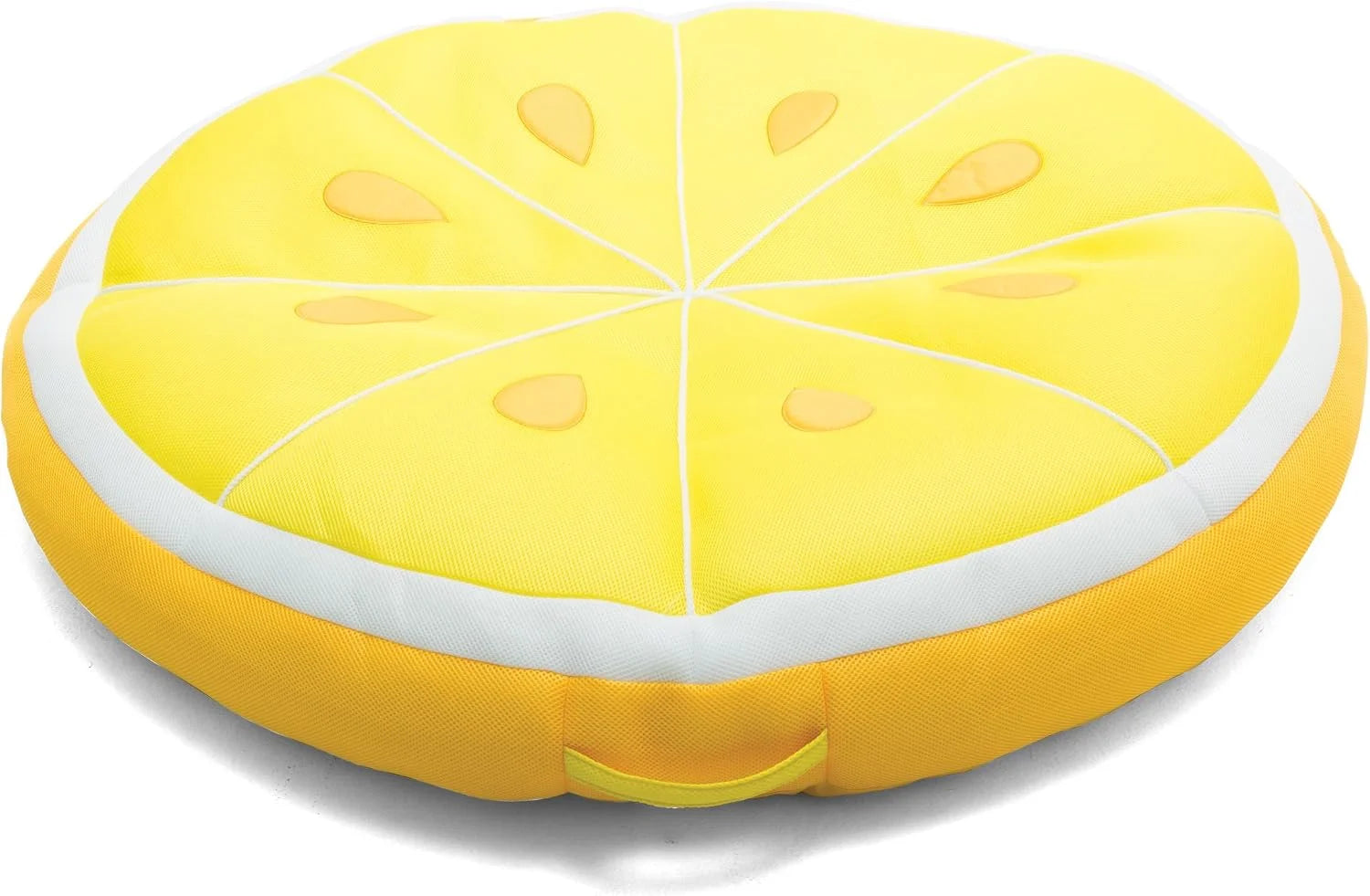 Big Joe Fruit Pool Floats, No Inflation Needed, Quick Draining Fabric, Round Loungers and Pool Noodles bifanuoyard - Image 4