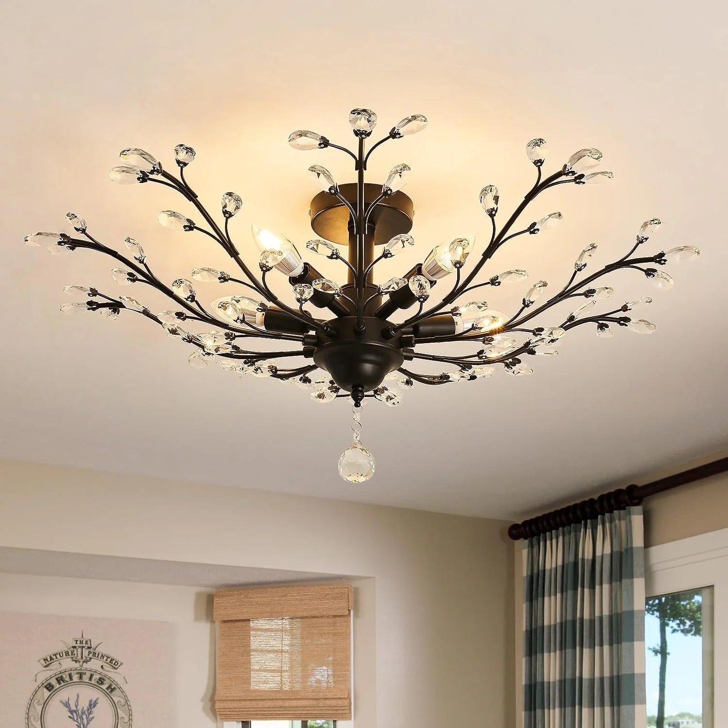 New Arrivals - Image 8