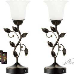 Touch Control Table Lamp with 2 USB Charging Ports, Dimmable, Bulb Included bifanuoyard