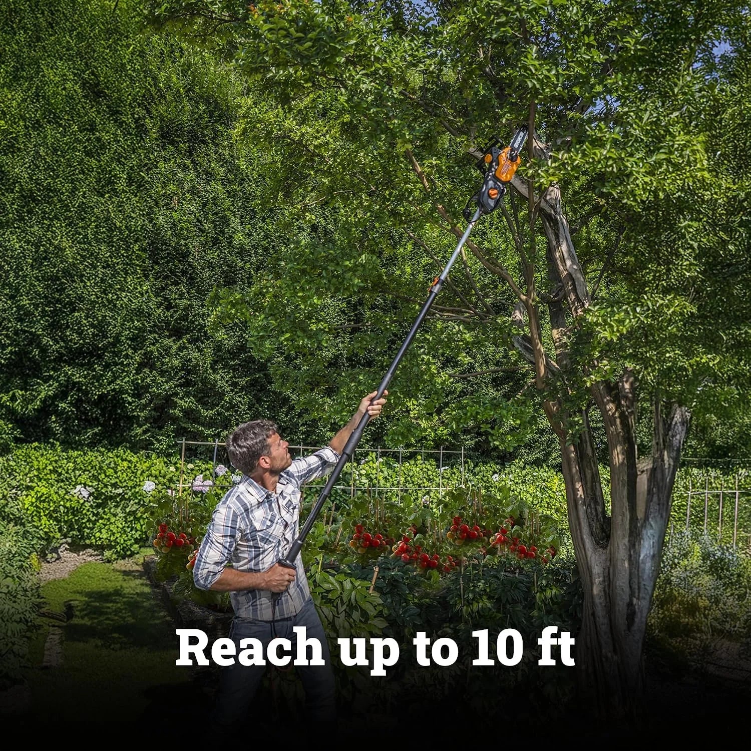 New Arrivals Electric Chainsaw, 8 Amp 10 2-in-1 Pole saw, WG311 - Image 3