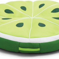 Big Joe Fruit Pool Floats, No Inflation Needed, Quick Draining Fabric, Round Loungers and Pool Noodles bifanuoyard