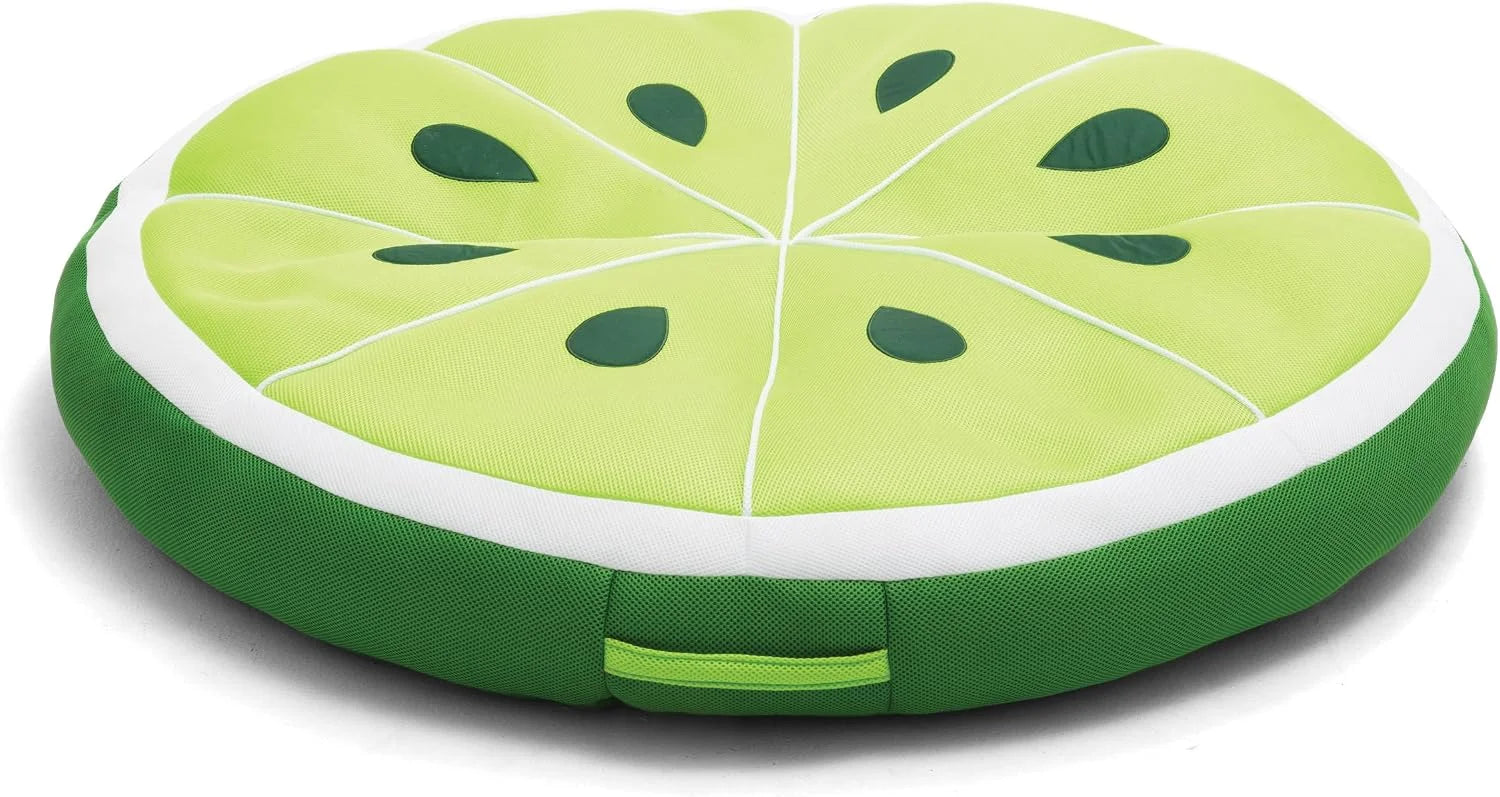 Big Joe Fruit Pool Floats, No Inflation Needed, Quick Draining Fabric, Round Loungers and Pool Noodles bifanuoyard